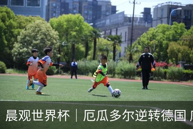 晨观世界杯｜厄瓜多尔逆转德国 库拉索止步小组赛